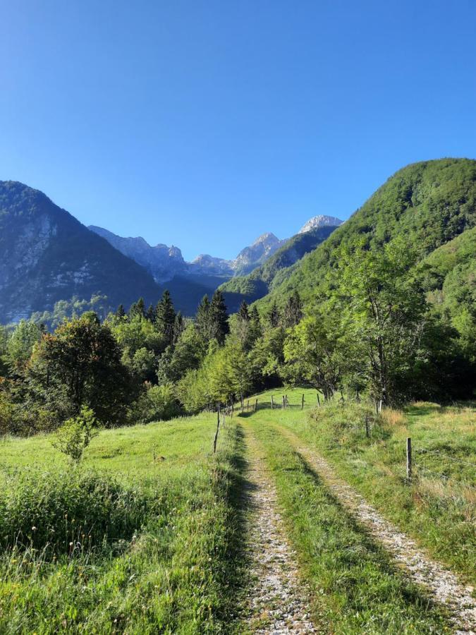 Apartment Pretner, Lepena Soča Eksteriør billede